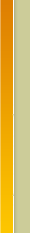 Indian Wildlife Tours