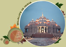 Akshardham Temple Delhi