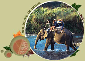 Chitwan National Park