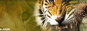 rajasthan wildlife tours, kerala wildlife safari, kerala wildlife travel, kerala wildlife tours, rajasthan wildlife tourism