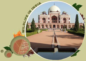 Humayun's Tomb Delhi