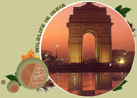 India Gate