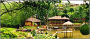 Indian Wildlife Tours