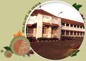 Lake Palace Hotel Thekkady,Hotel Lake Palace periyar,hotel lake palace,resorts in periyar,Lake palace hotel in periyar