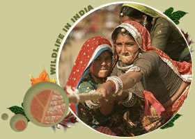 Pushkar Fair