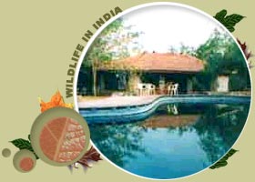 Tiger Moon Resort,Tiger Moon Resort Ranthambore,Tiger Moon Wildlife Resort,Hotel Tiger Moon Resort Ranthambore