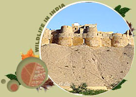 Jaisalmer Fort